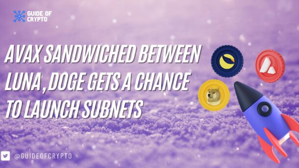 AVAX sandwiched between LUNA, DOGE gets a chance to launch subnets